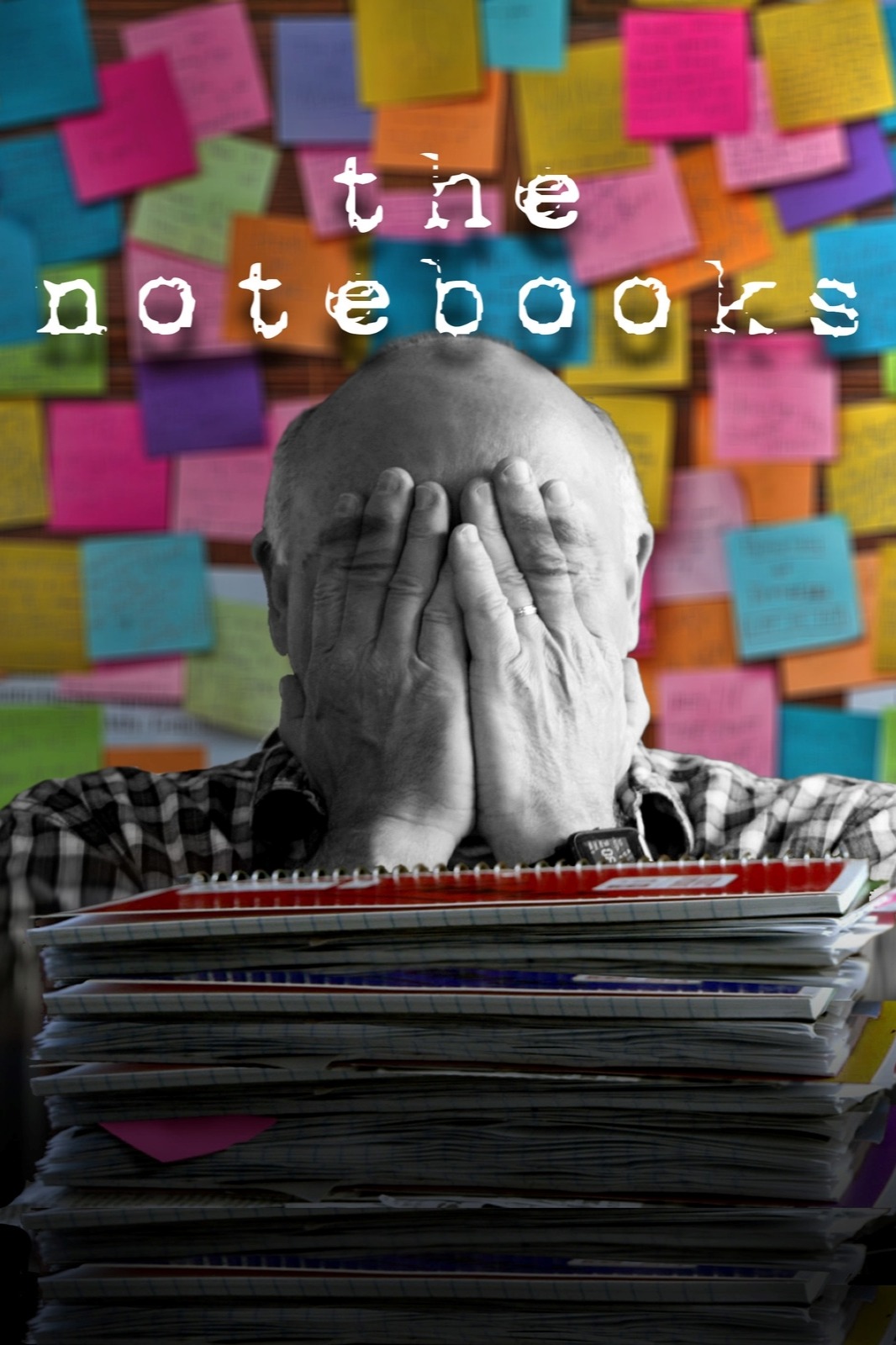 The Notebooks