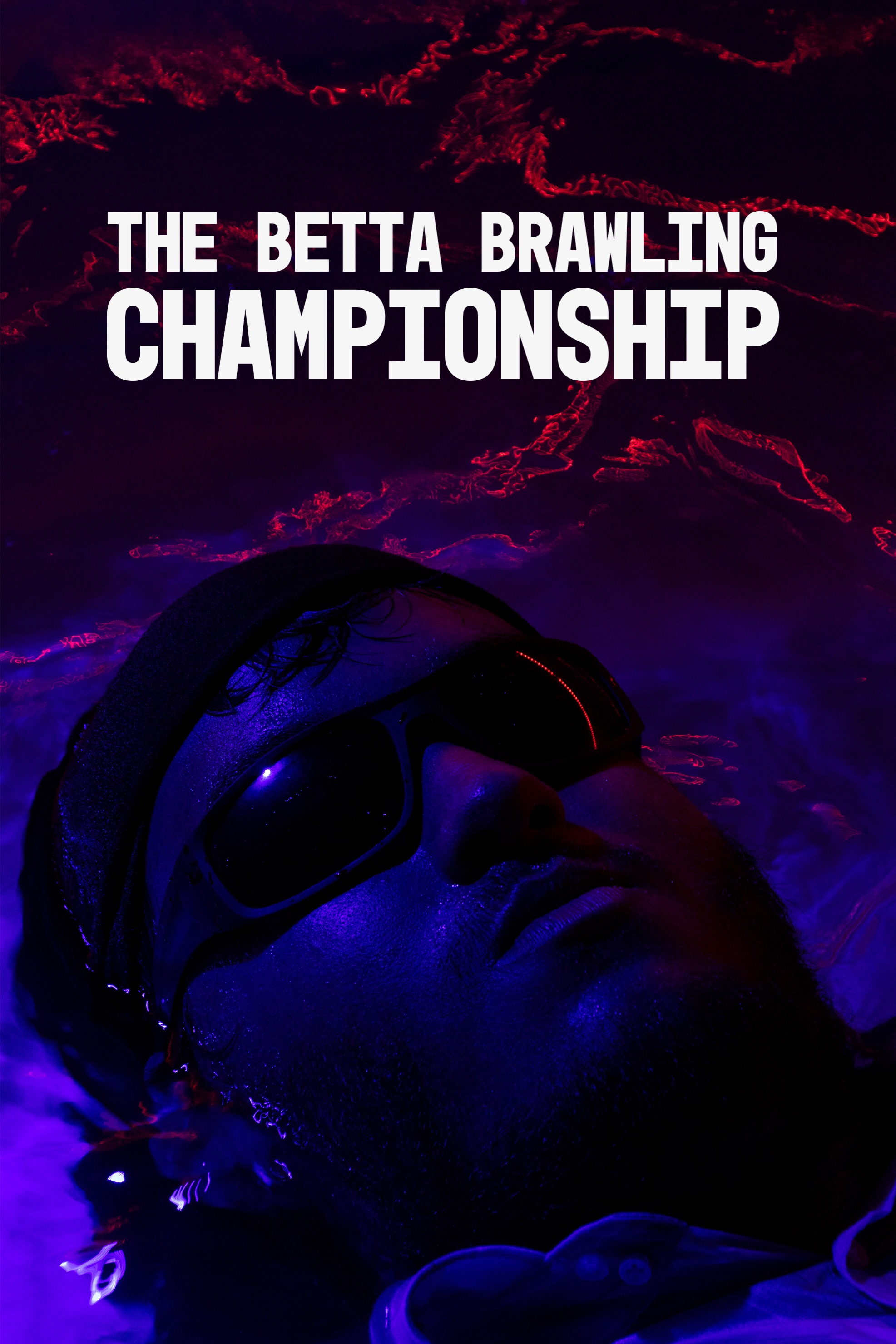 The Betta Brawling Championship