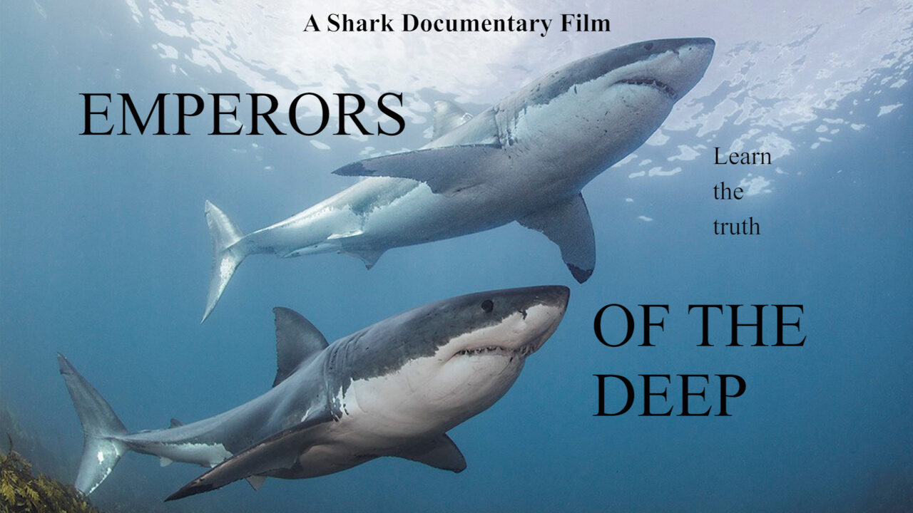 Emperors of the Deep - The Shark - Feature