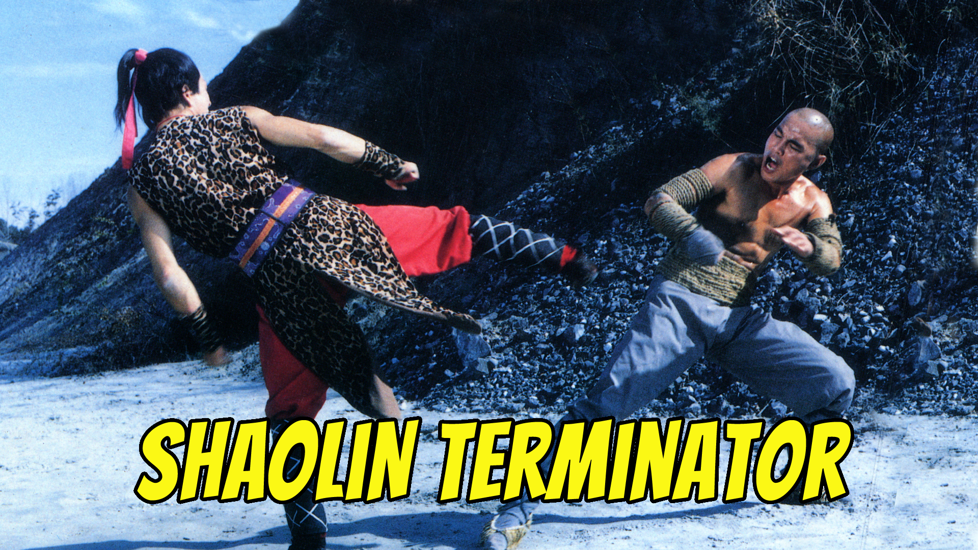 Shaolin Terminator