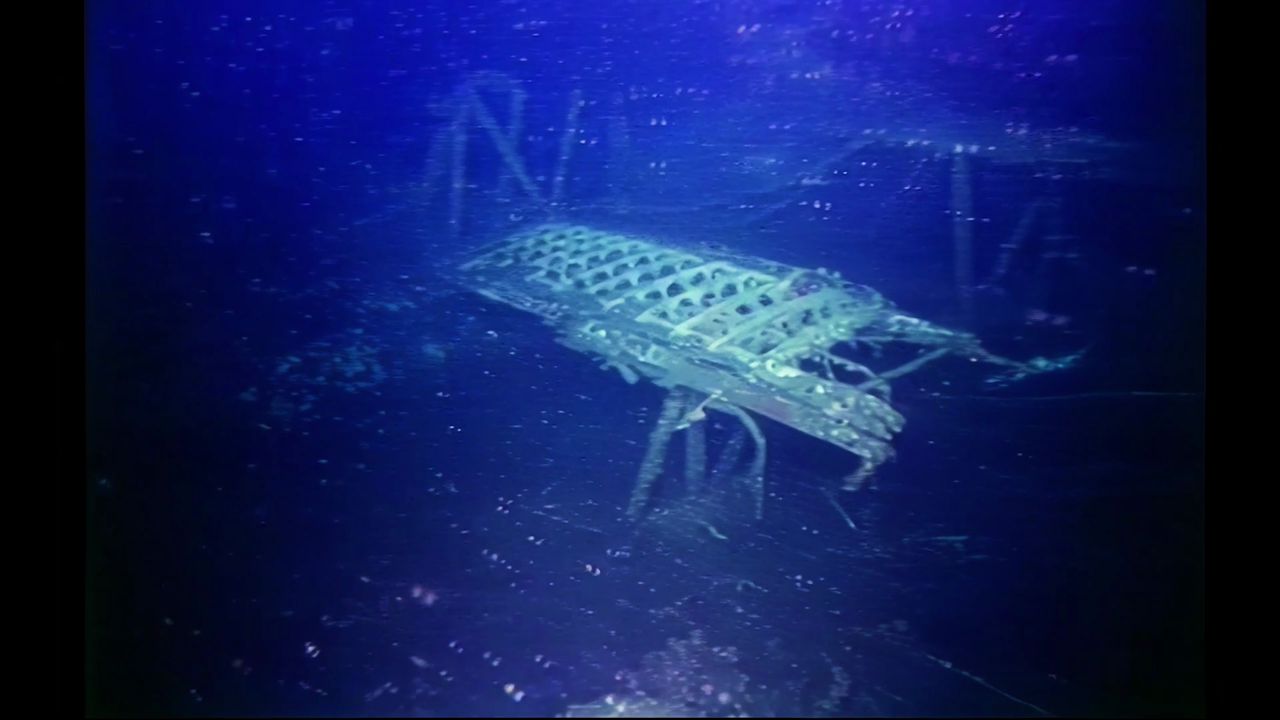 Underwater World for Kids — S1E8: Episode 8