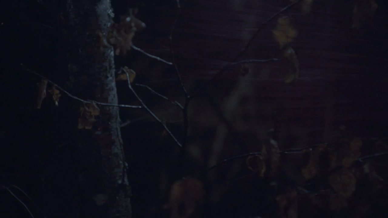The Legend Of The Psychotic Forest Ranger
