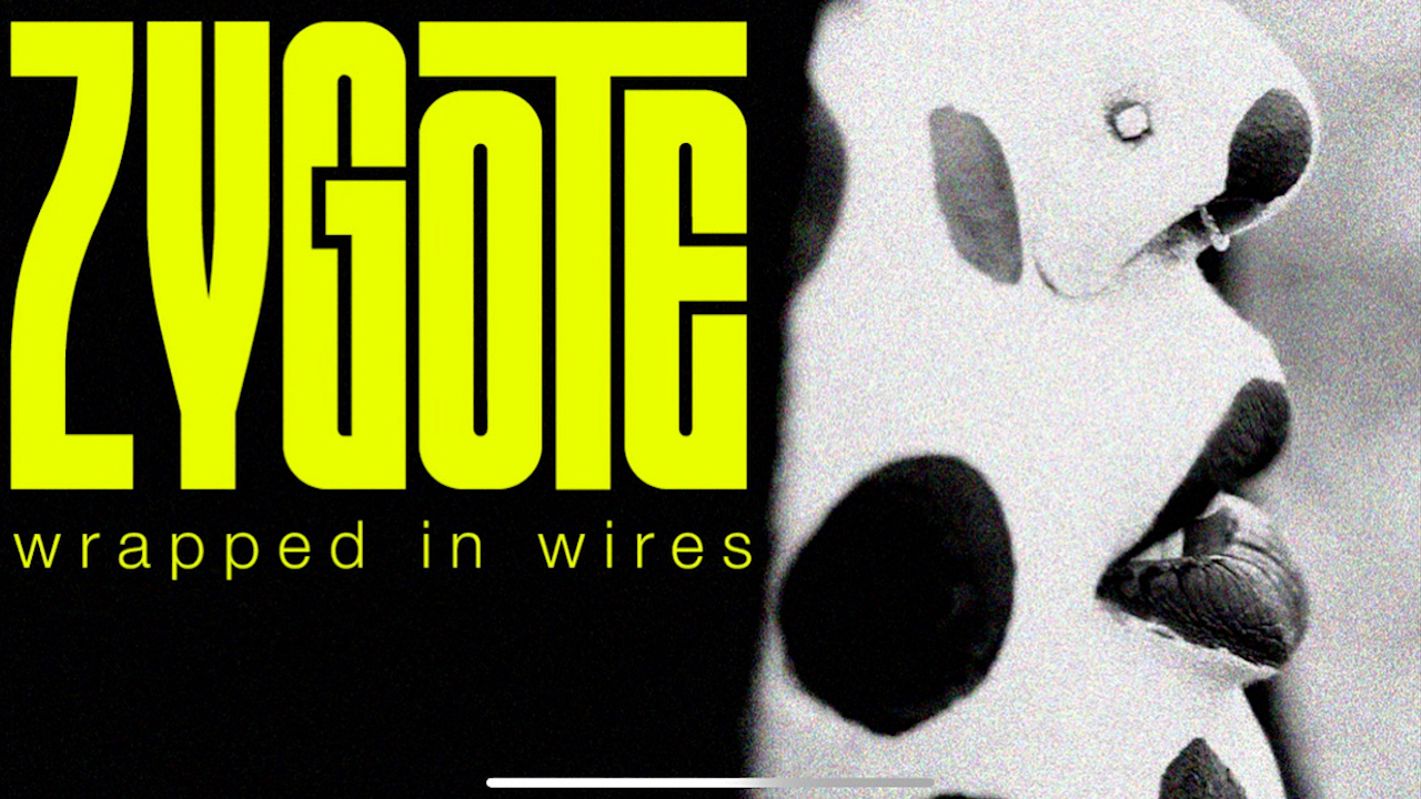 Wrapped in Wires