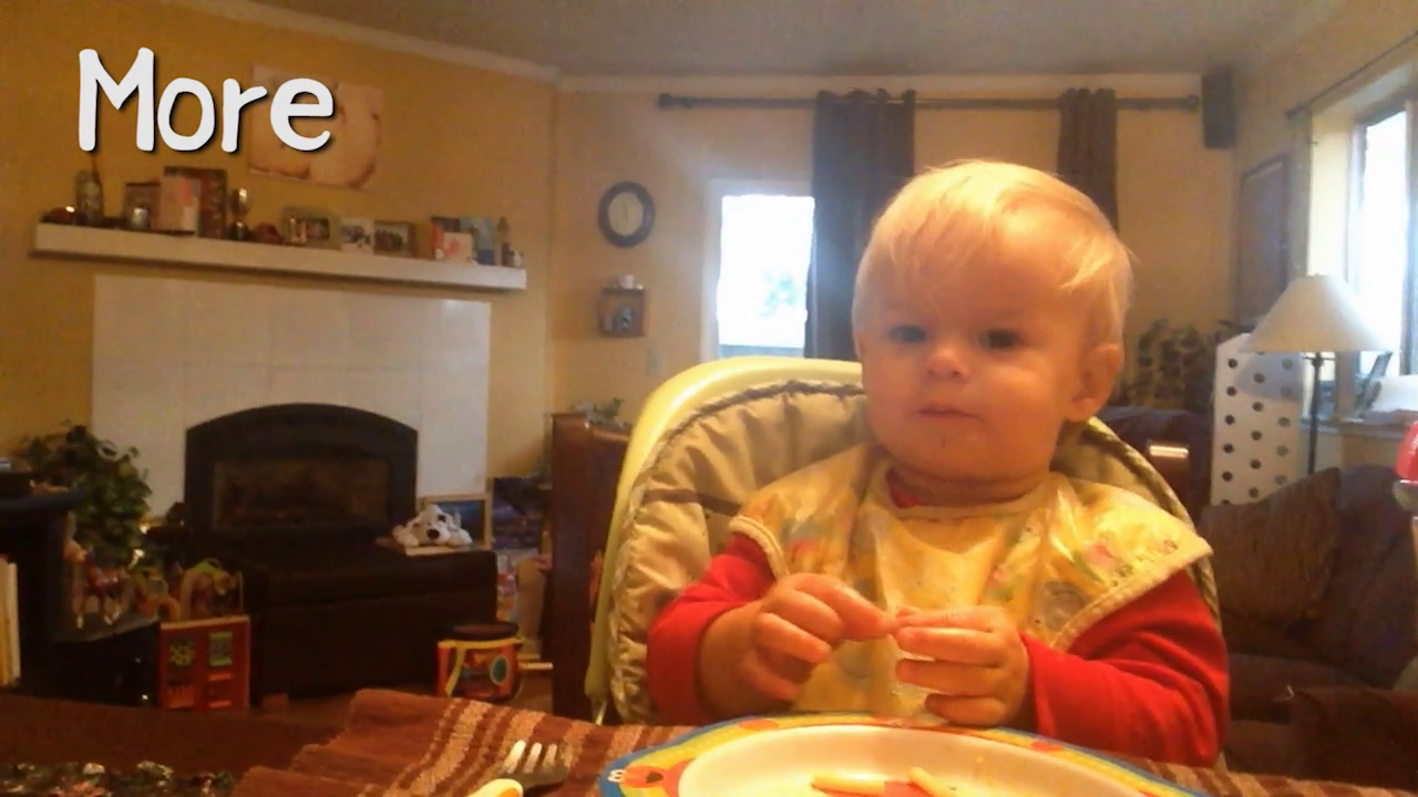 A Crash Course in Baby Sign Language