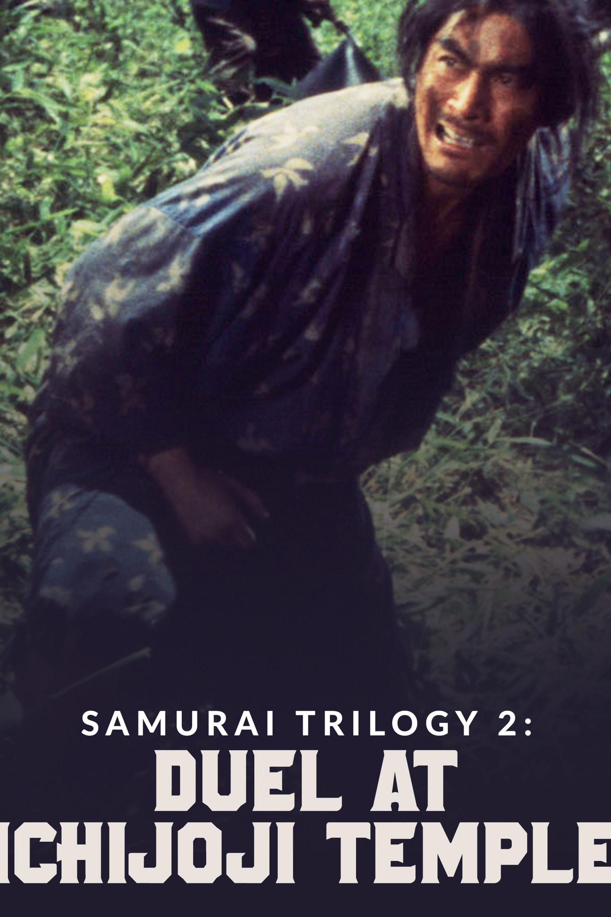 Samurai Trilogy 2: Duel at Ichijoji Temple