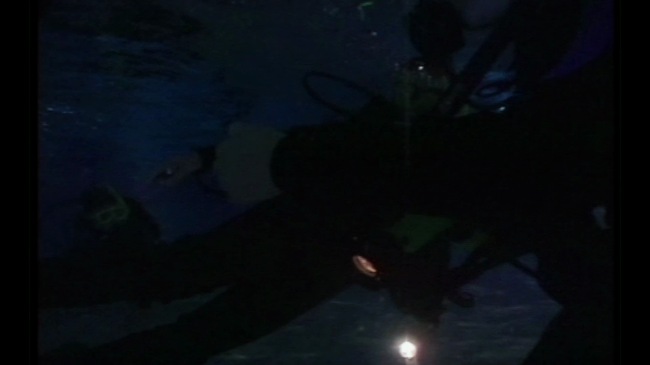Underwater World for Kids — S1E6: Episode 6