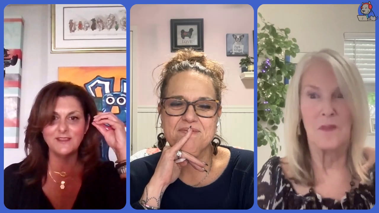 Jessica Abernathy — S1E2: Pets are Family Ep11 - Hilarie Viener Founder of Black Paw Memorial