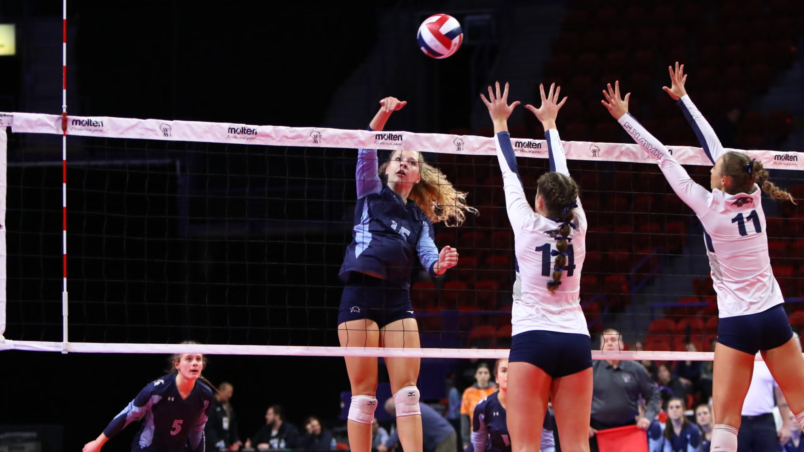 Girls High School Volleyball