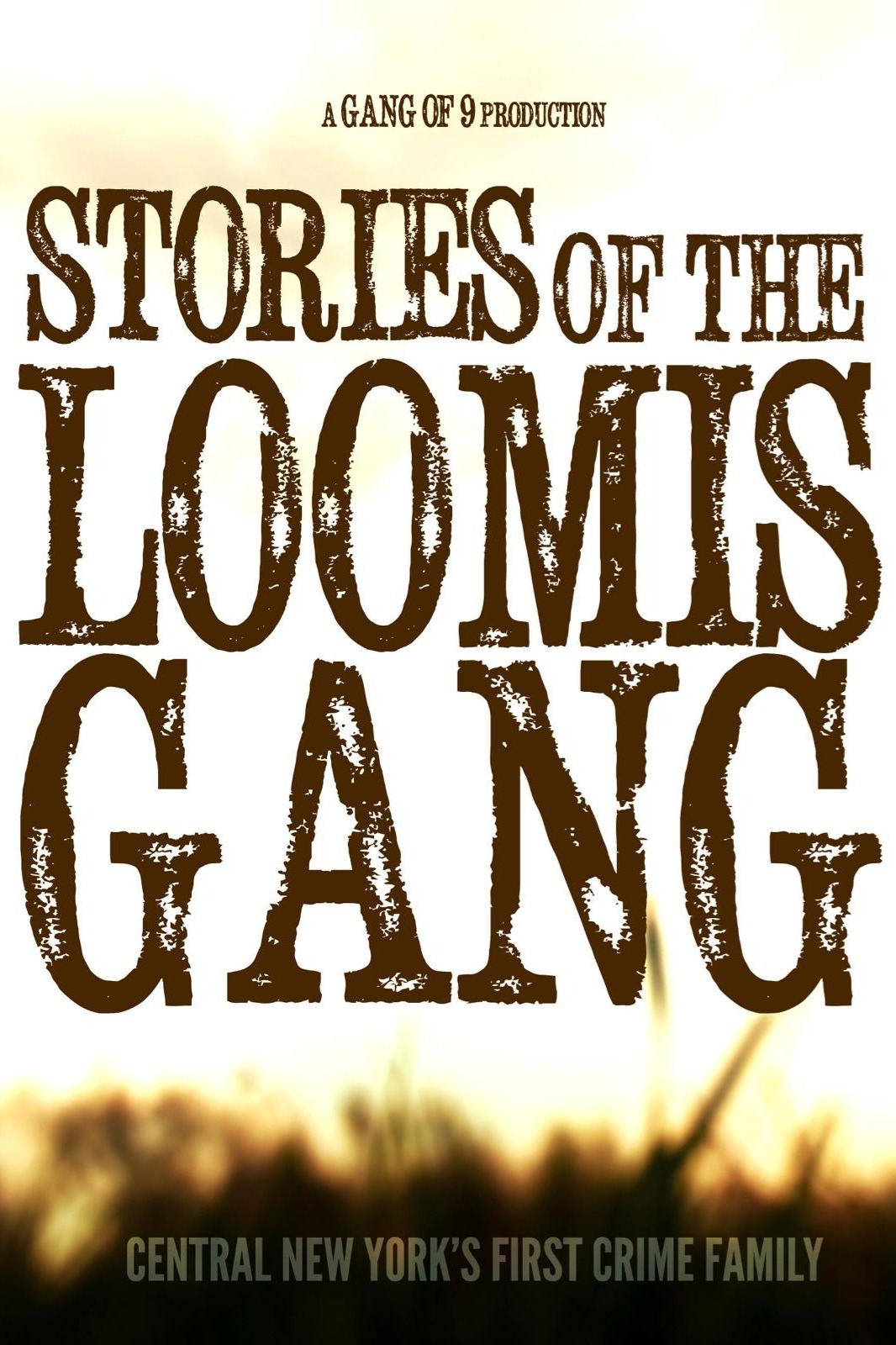 Stories of the Loomis Gang