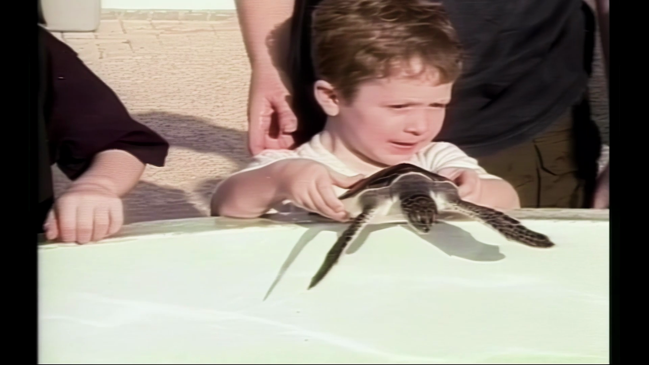 Underwater World for Kids — Episode 11