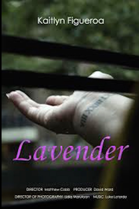 Lavender