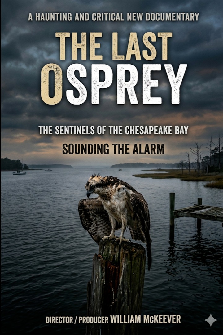 The Last Osprey - Part 1