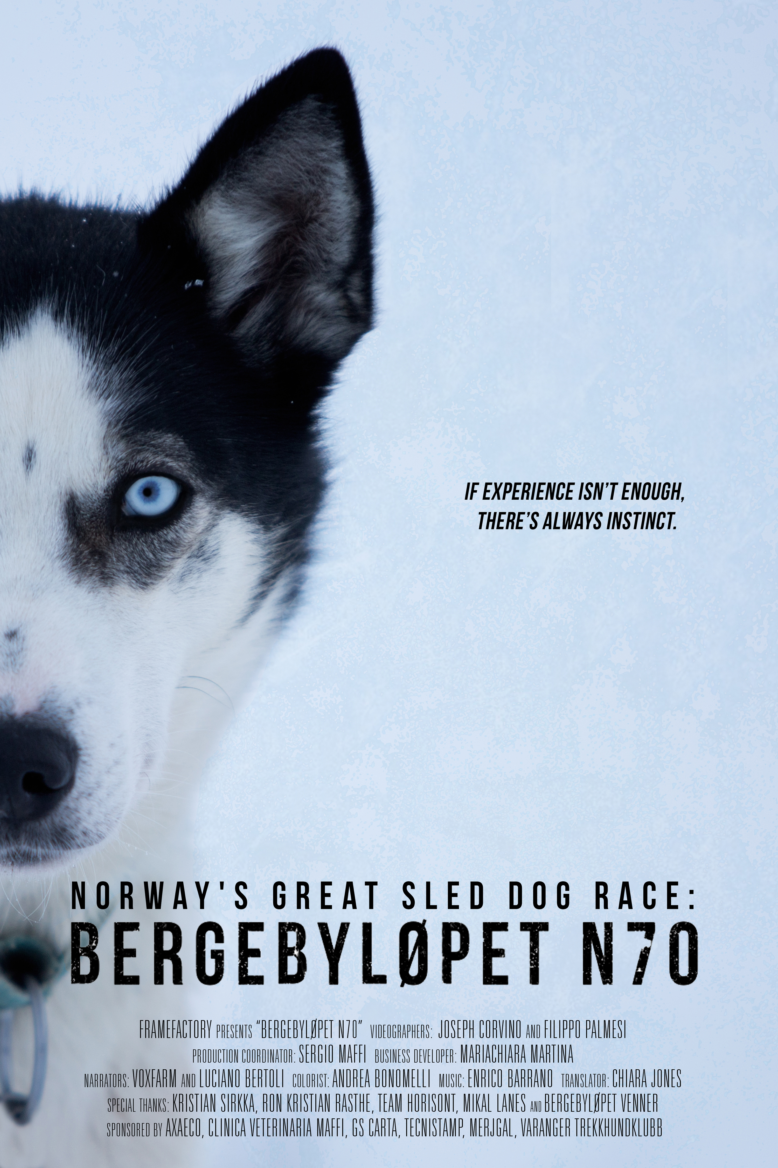 Norway's Great Sled Dog Race: Bergebyløpet N70