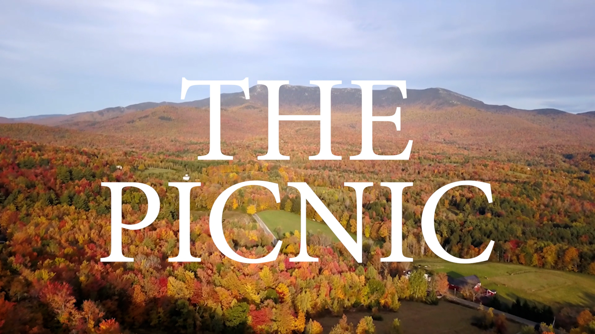 Picnic with Friends