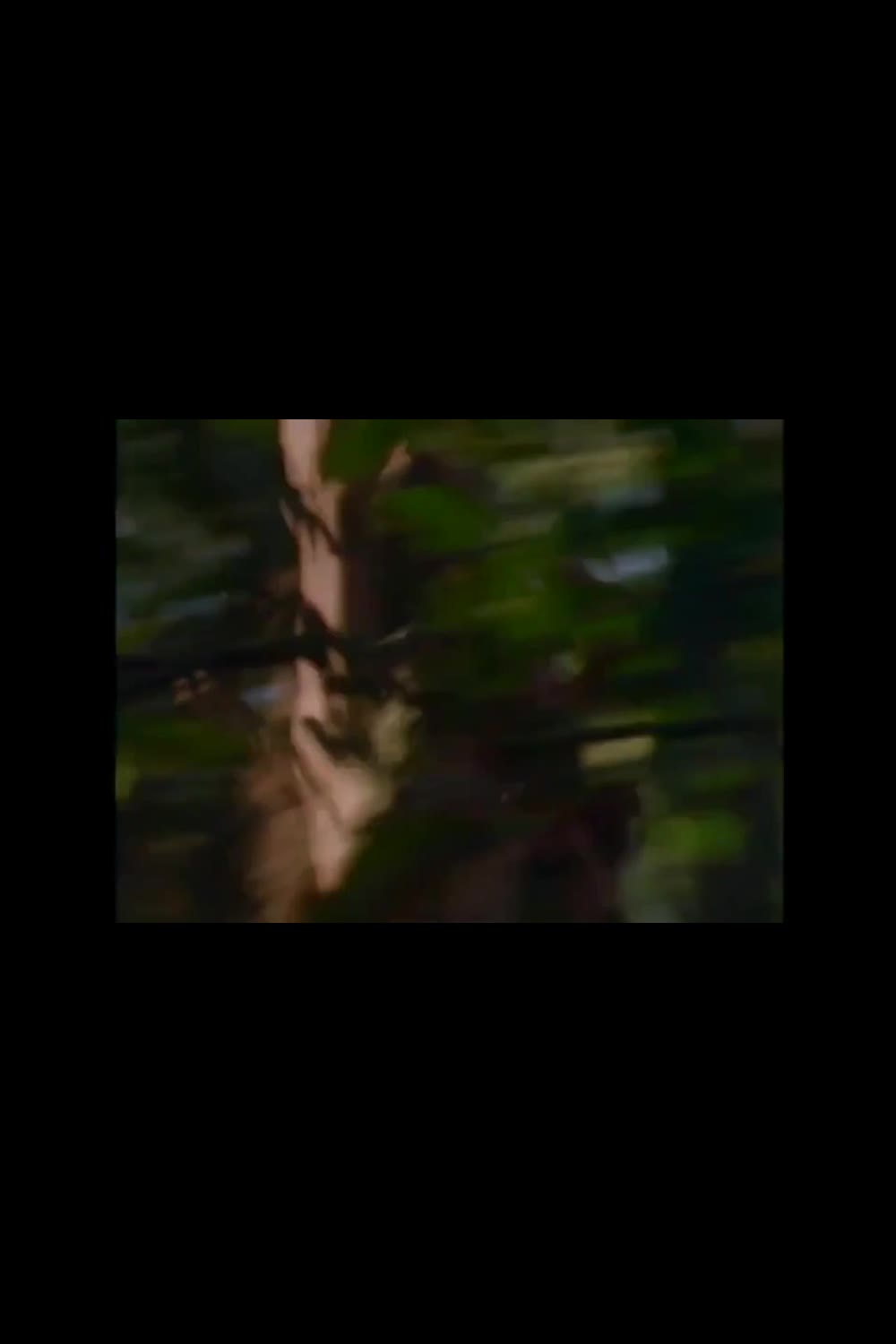 Episode 1 - Tarzan Returns Part 1