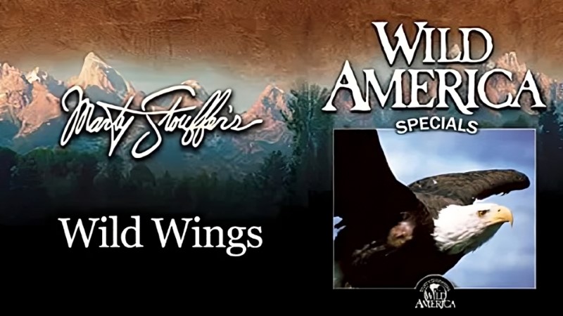 Wild America Special: The Predators