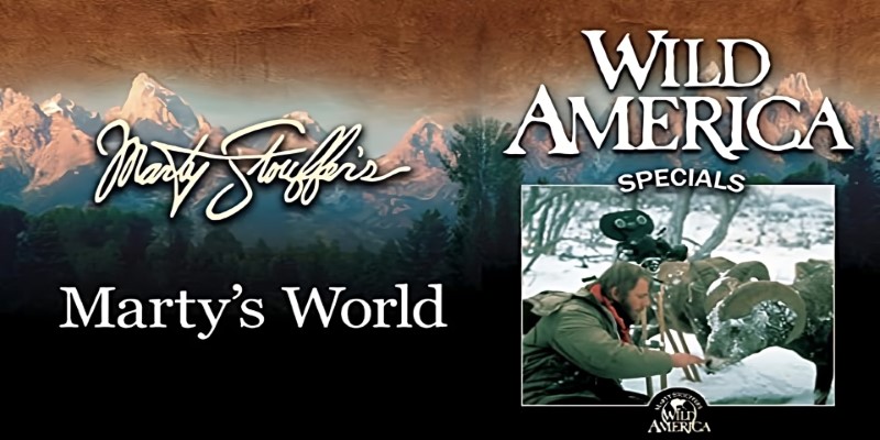 Wild America Special: Wild Wings