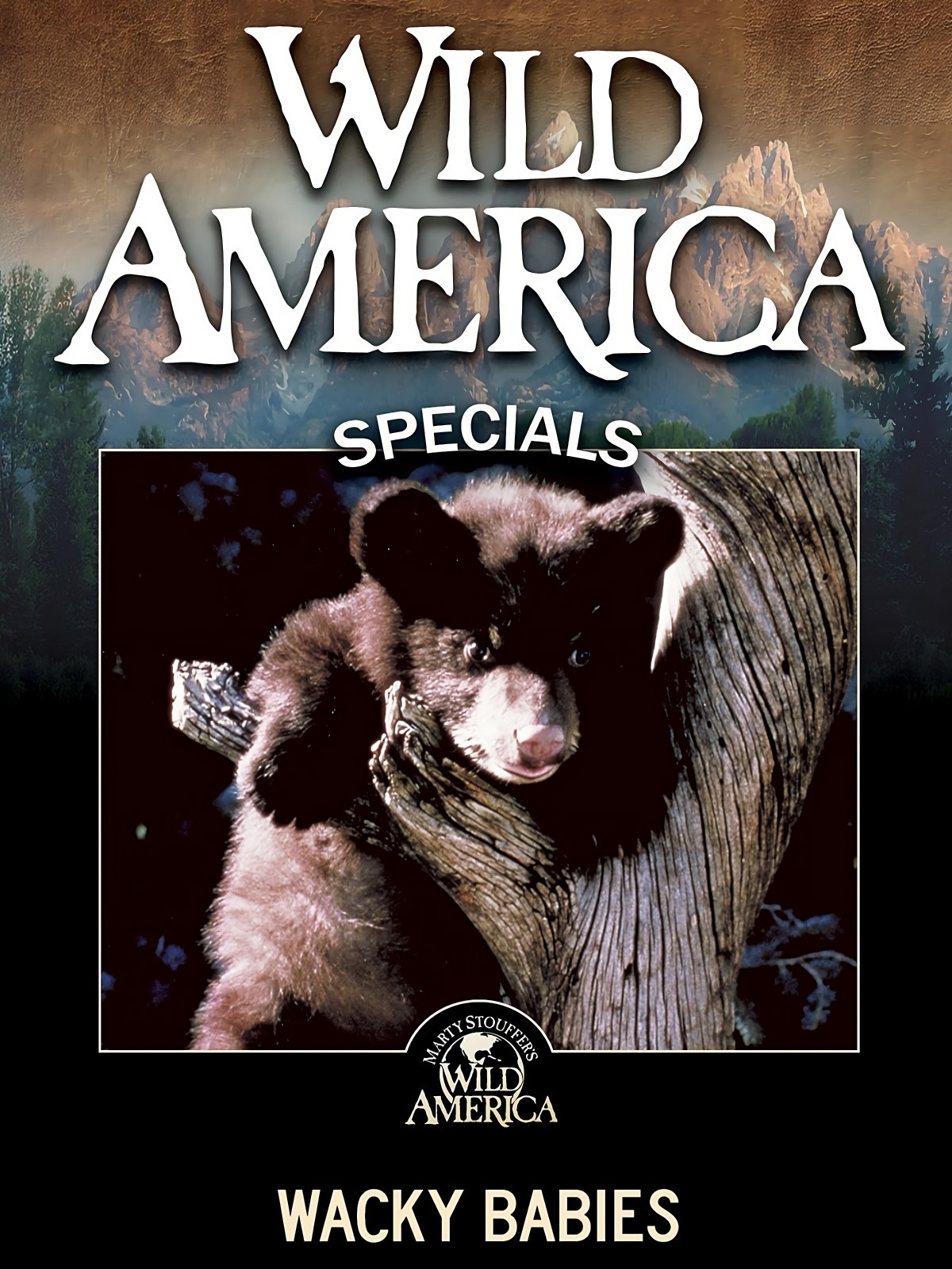 Wild America Special: Our Favorite Animals