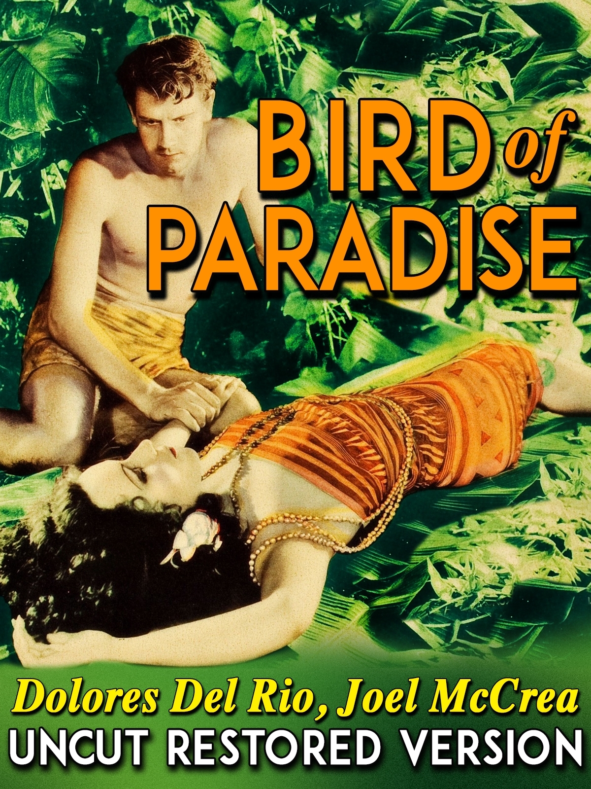 Bird of Paradise