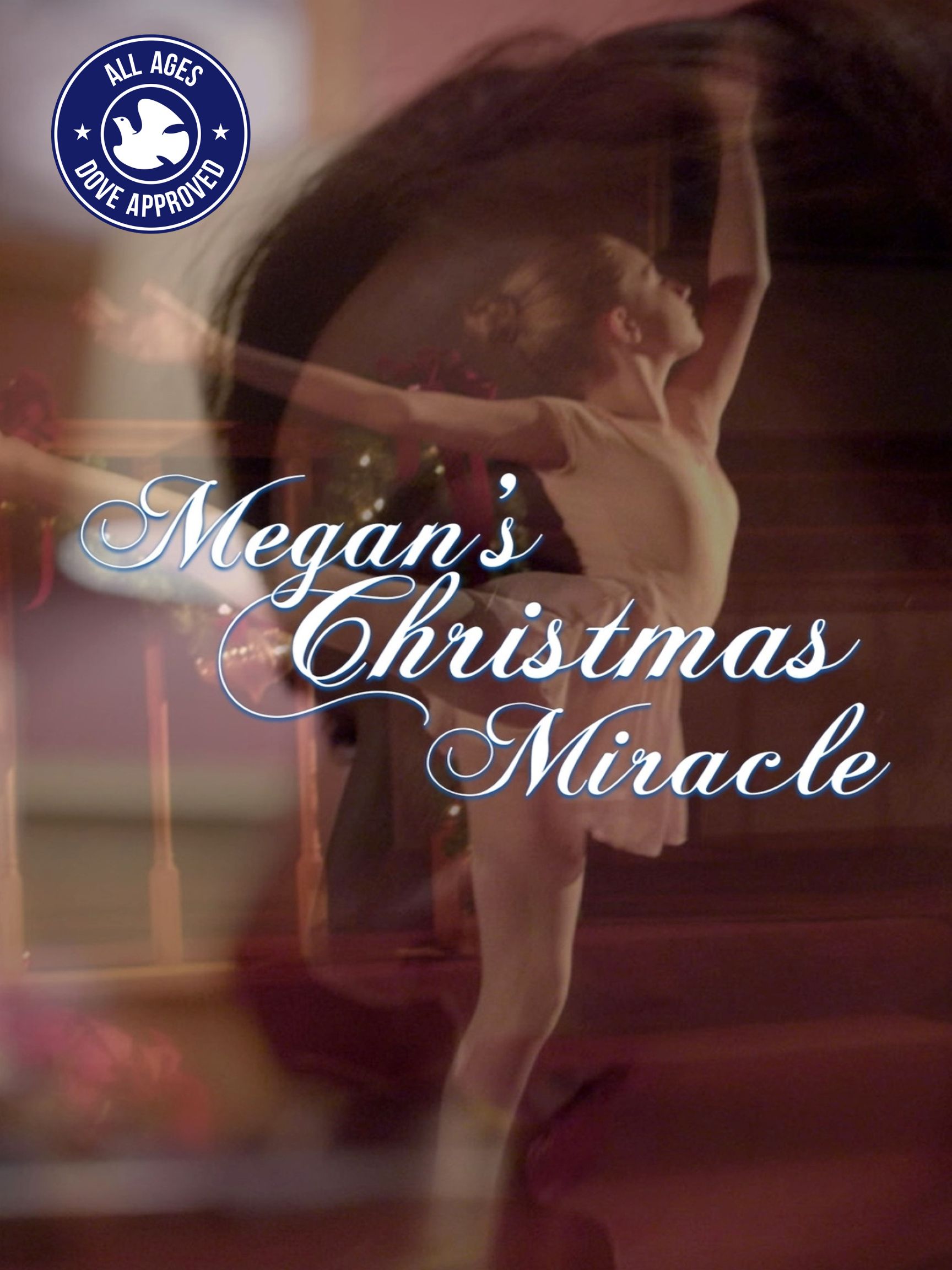 Megan's Christmas Miracle