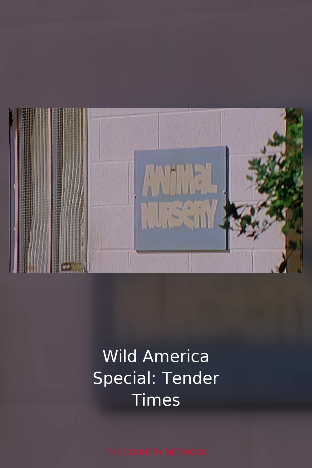 Wild America Special: Tender Times